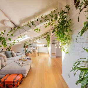 Penthouse Appartement